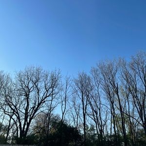 Meet your Posher, Lex